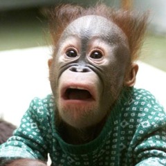 Alejandra Sanchez de Leon