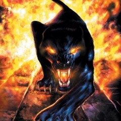 Mark Panther69 Mederski