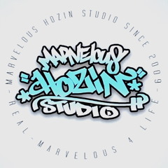 Mvls Hozin Studio