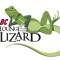 BC LoungeLizard
