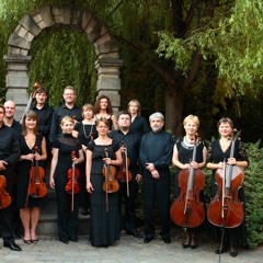 The Wratislavia Chamber Orchestra