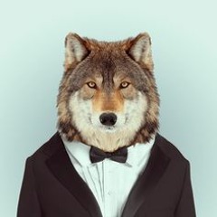 WolfPackMelody/FCC