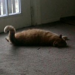 Jeffrey Gary Conant Jr.