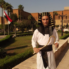 Ahmed Salamony