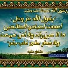 Mahmoud Yosef