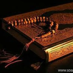 eman 2517