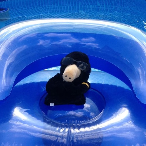 Ayla Vs. Nelly Furtado "Say It Right Ayla"   (Mastermix 253)