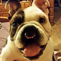 Winston N Melissa Cooper