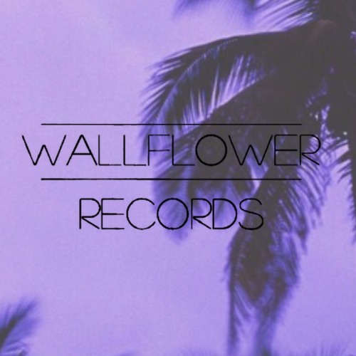 Wallflower Records’s avatar