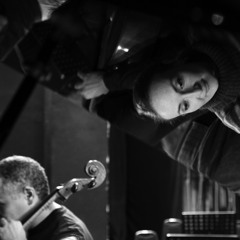 Stagiunea Camerala Florescu-Fernandez & Friends