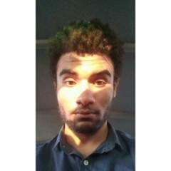 Ahmed Ali Metwally