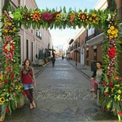 Leslie Villegas Barquero