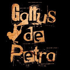 Gallus de Petra