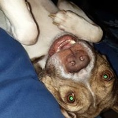 Sheridan Wren-johnson