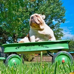 greenwagon