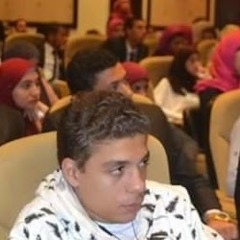 Amr Gamal