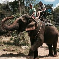 Ah Boon Aristo Alvin