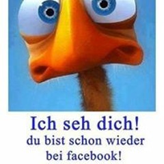 Christopher Arnold Ellm