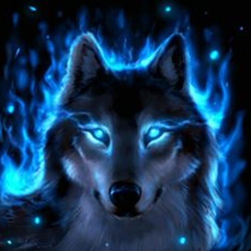 Shady Wolf’s avatar