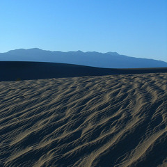 Mike Hollibaugh