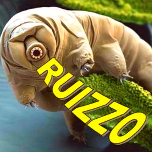 E-Ruizzo’s avatar