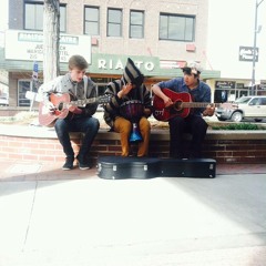 Fathom All the Animals