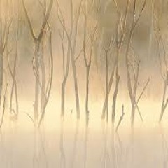 What ever u wonna call me