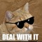 Deal With it
