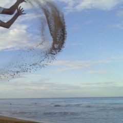 Reedy