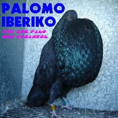 Palomo Iberiko
