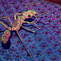 Antman