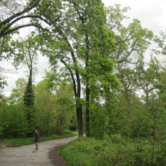 Lefoufoudu06