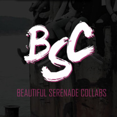 BeautifulSerenade Collabs