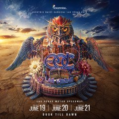 EDC Las Vegas 2015 Part 2