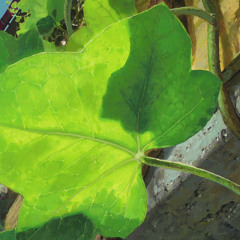 Riccardo Camposilvan