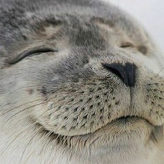 Seal
