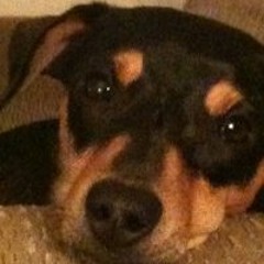 Sandy Tenney Litvinchyk