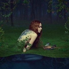 Darin Lisa
