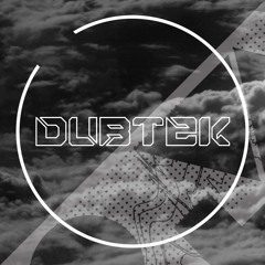 Dubtek Vinyl