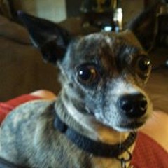 Terri Morales-constance