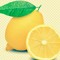 Lemonvagabond
