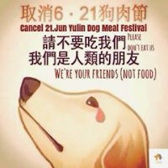 Jomadz Sales Manguiat