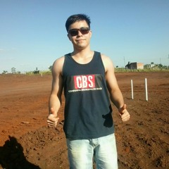 Matheus Domingues Silva