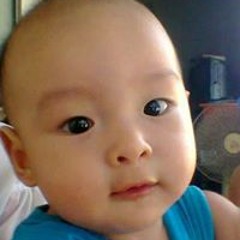 Hải Tùng
