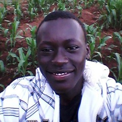 kisorio