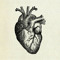Heart of Gold