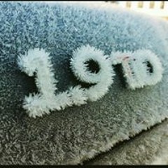 David Budgie Burgess