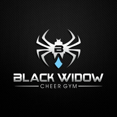 Black Widow Cheer Gym