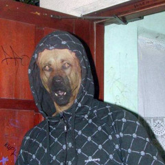 Dog In Hoodie