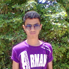 syed ali khursheed